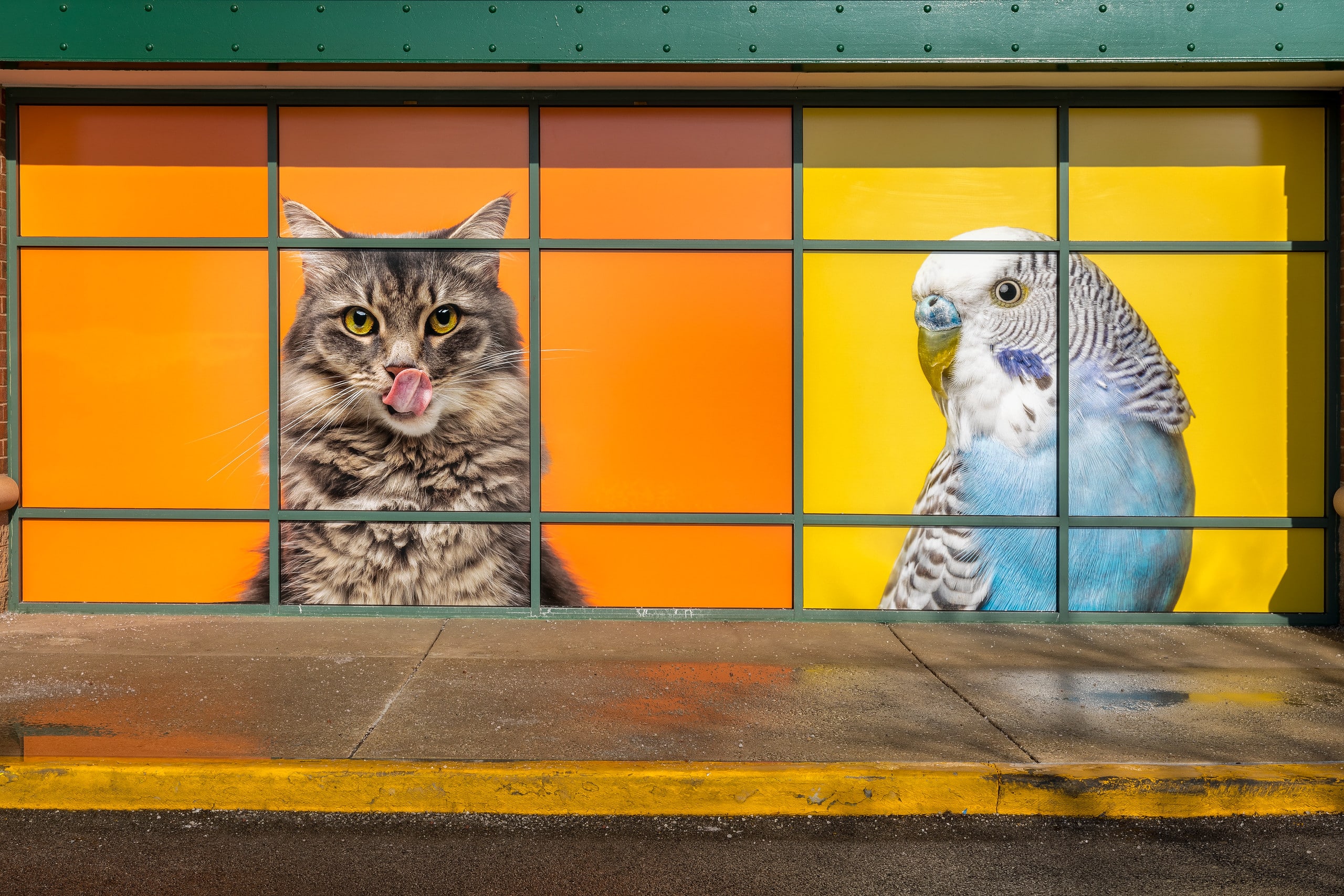 Petsmart Store Exterior